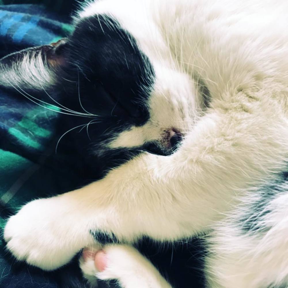 Meet your Posher, Mariah